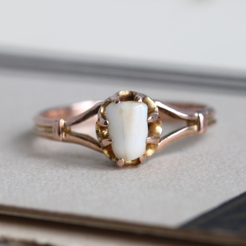 yellow gold ring with split shank shoulders set with a baby tooth